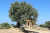 In the Valley of the Temples, Agrigento