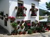 A carefully tended floral display in Bubion